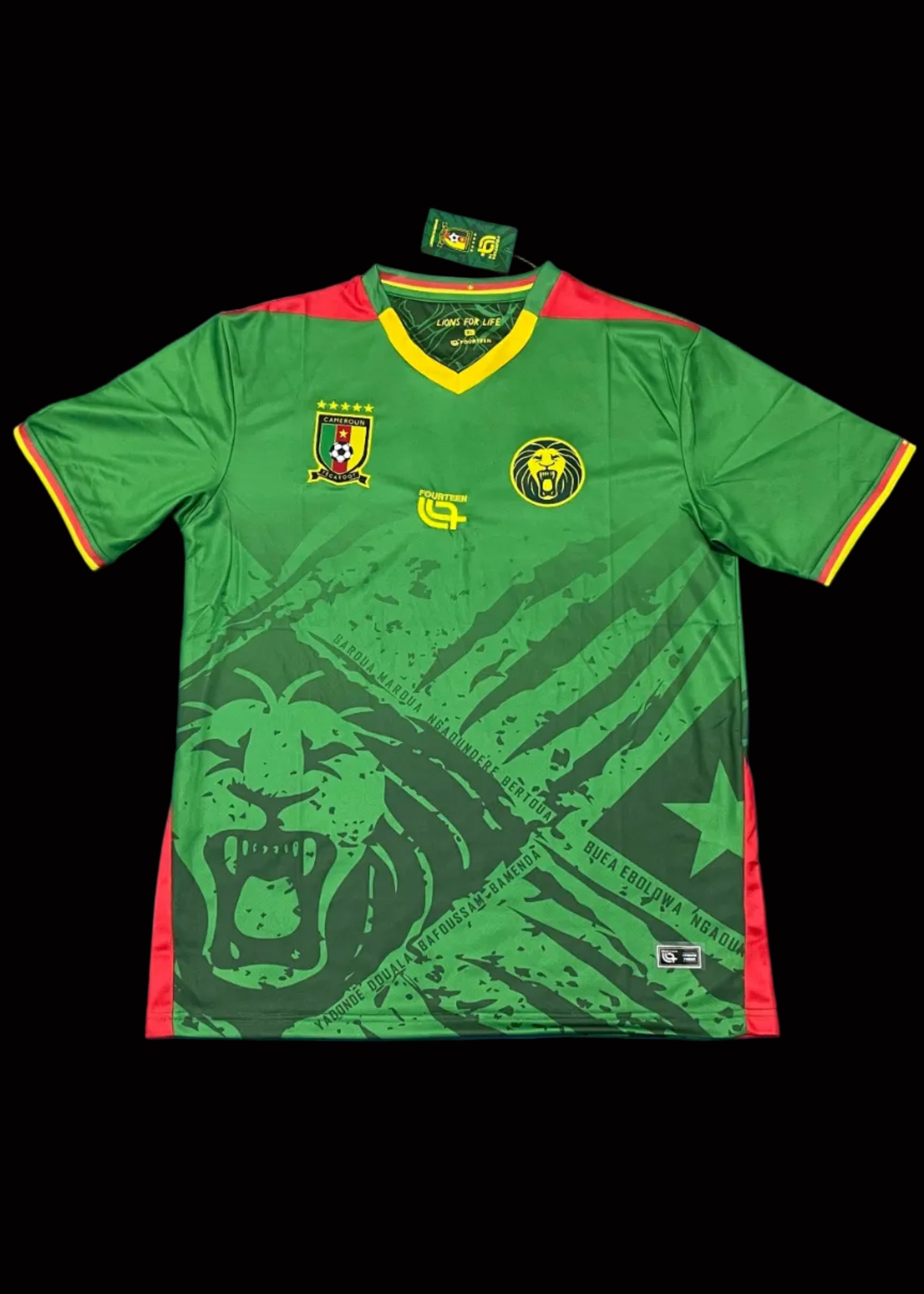 Maillot Cameroun