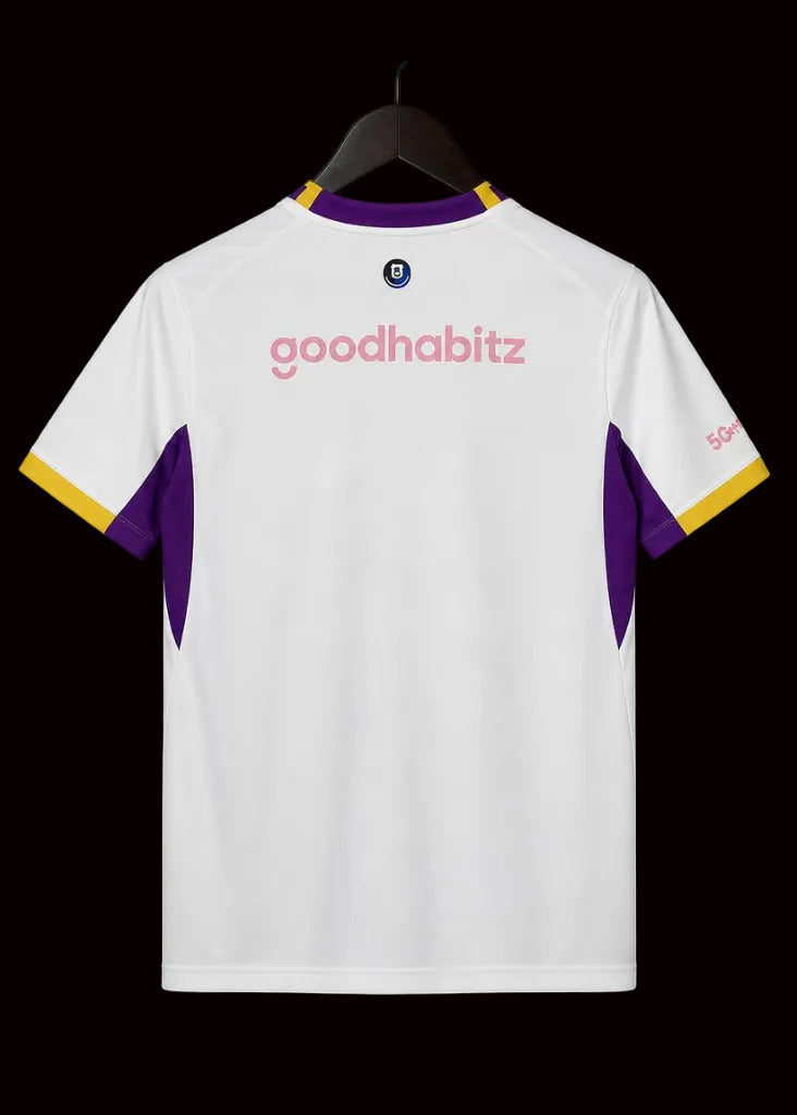 Maillot PSV 26/27