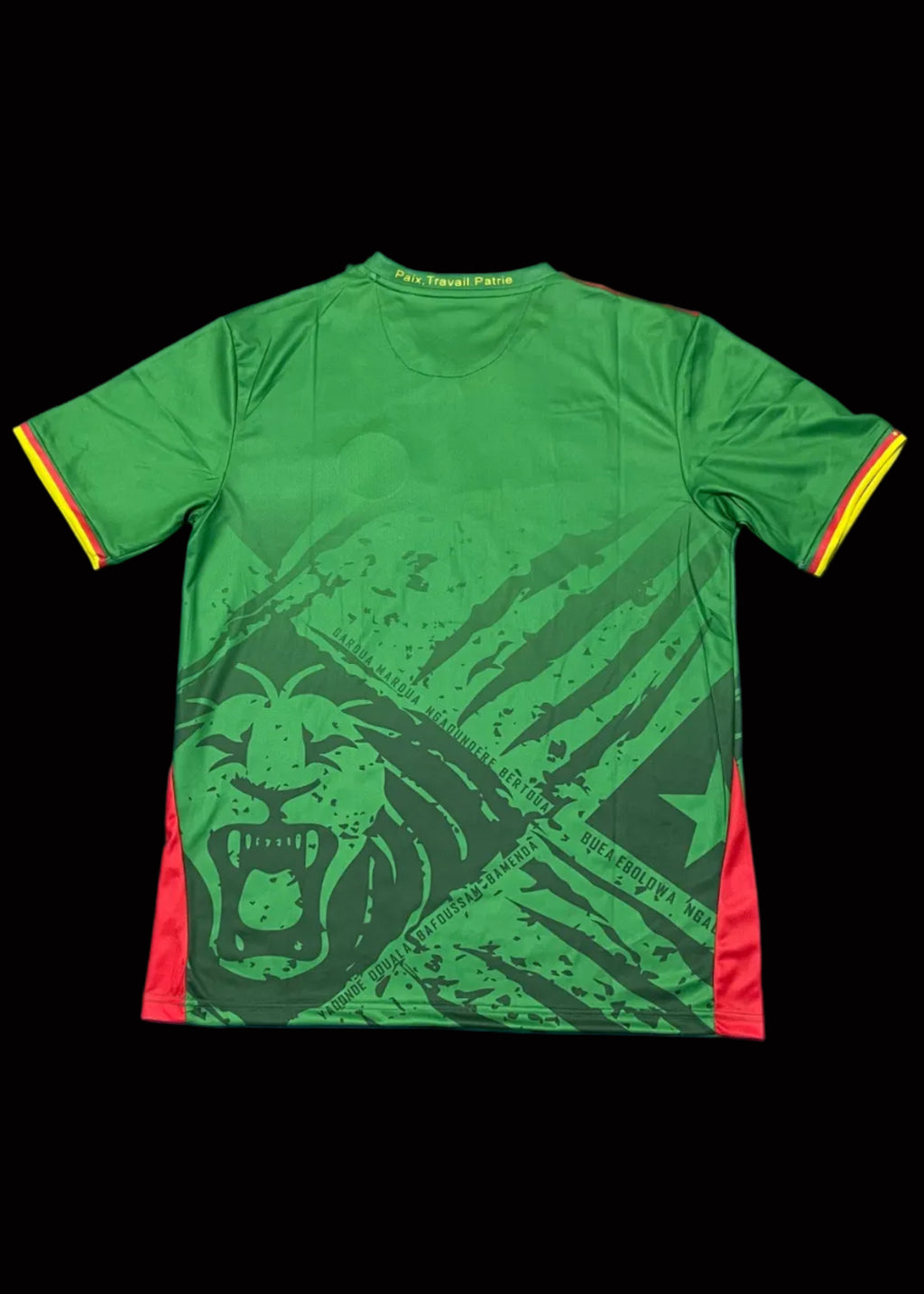 Maillot Cameroun